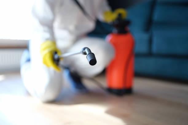 Best Industrial Mold Remediation  in Sweetwater, FL