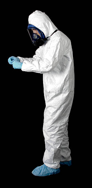 Professional Mold Removal in Sweetwater, FL